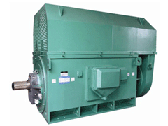木兰Y系列6KV高压电机